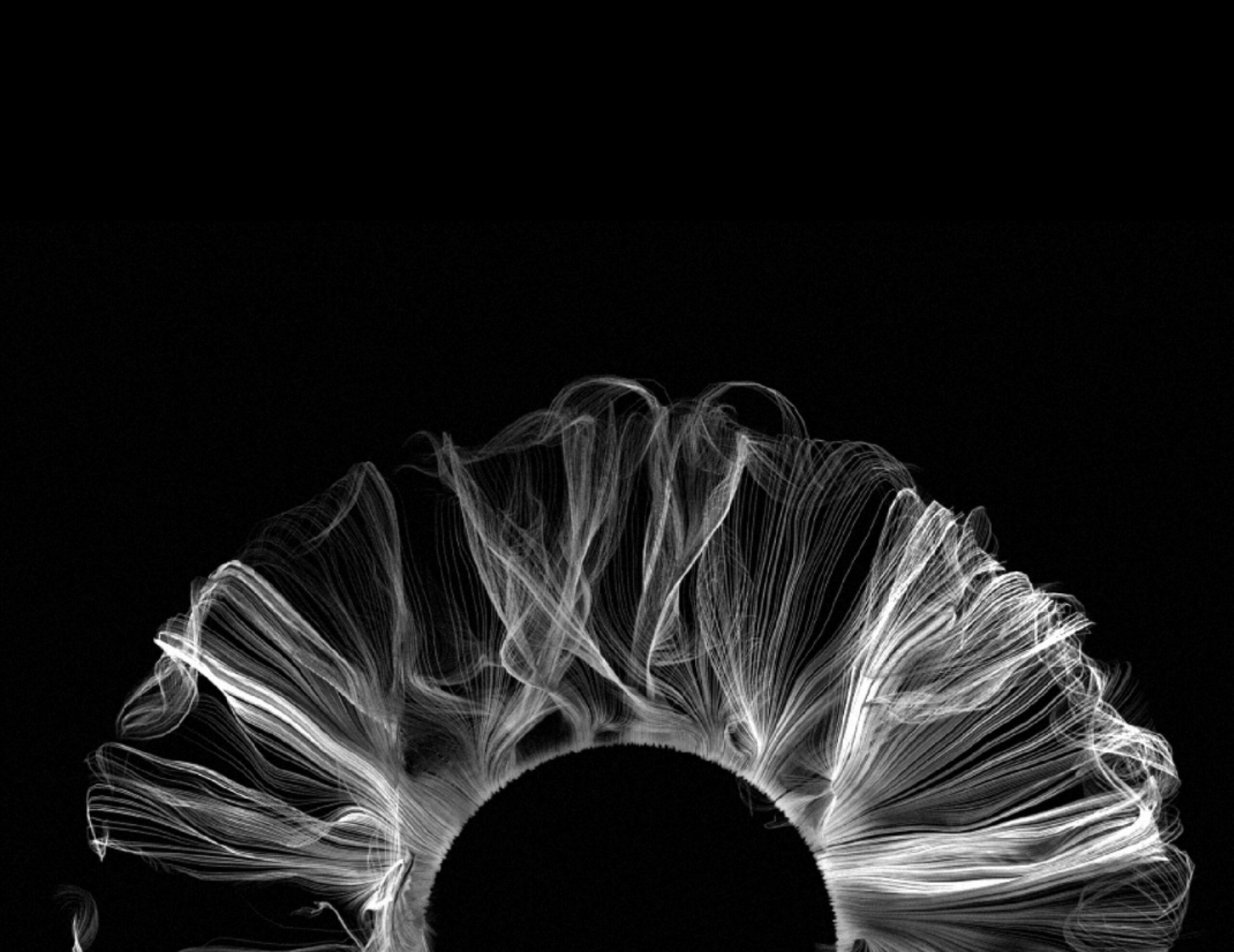 Partage et synergie entre praticiens