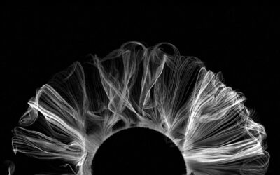 Partage et synergie entre praticiens