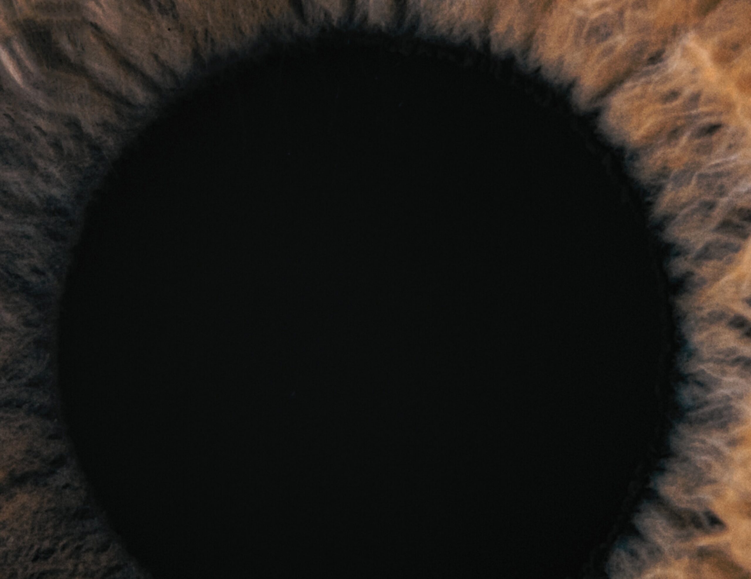 Journée mondiale de la vue