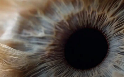 Décarboner ophtalmologie défi collectif pour médecine demain | Réseau Ophtalogy | France